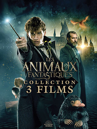 Animaux fantastiques (Les) - Collection 3 films