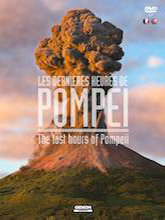 Les dernières heures de Pompéi - The last hours of Pompeii : The last hours of Pompeii / Pierre Stine, réal. | Stine, Pierre . Metteur en scène ou réalisateur. Scénariste