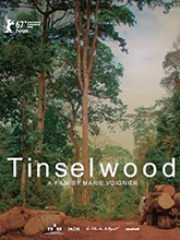 Tinselwood | Voignier, Marie. Metteur en scène ou réalisateur