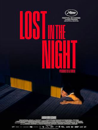 Couverture de Lost in the night